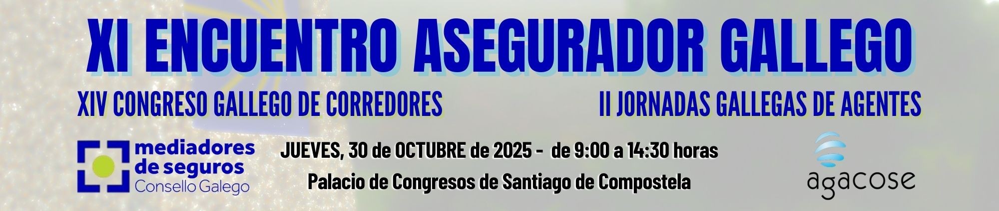 ENCUENTRO ASEGURADOR GALLEGO